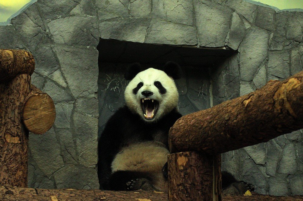 Фотография автора Геннадий Титов