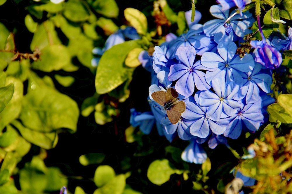 Photograph by Eleni Zingirli