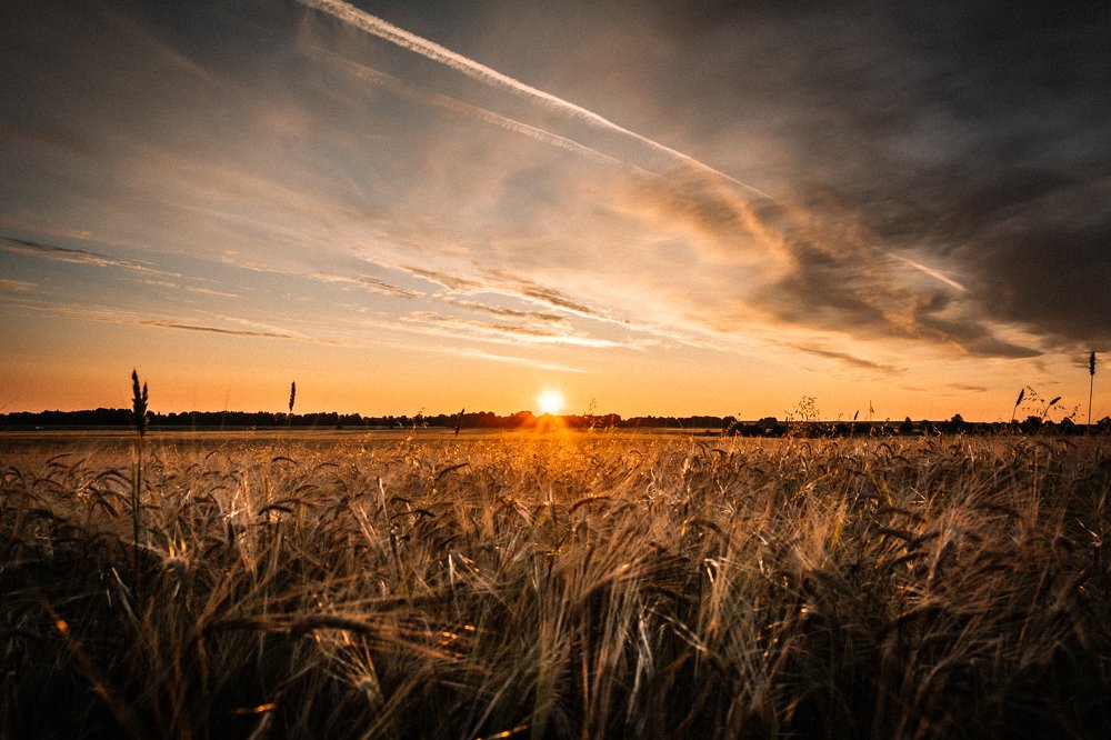 Photograph by Антон Мингалев