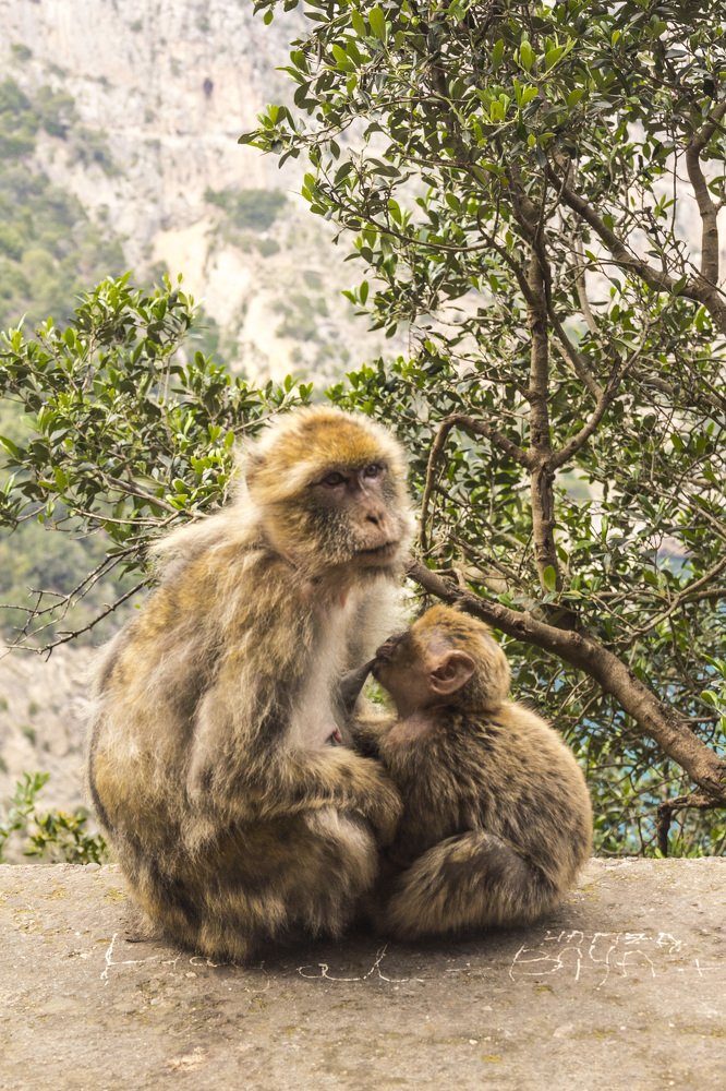 Photograph by omar touati