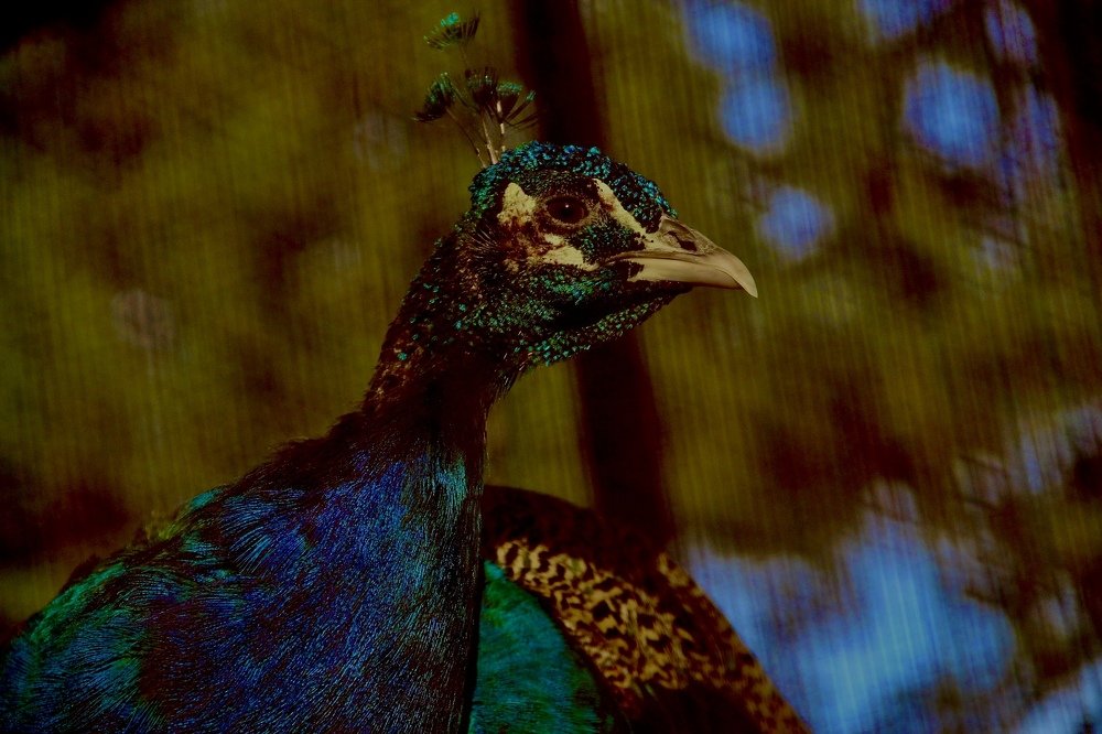 Photograph by Eleni Zingirli