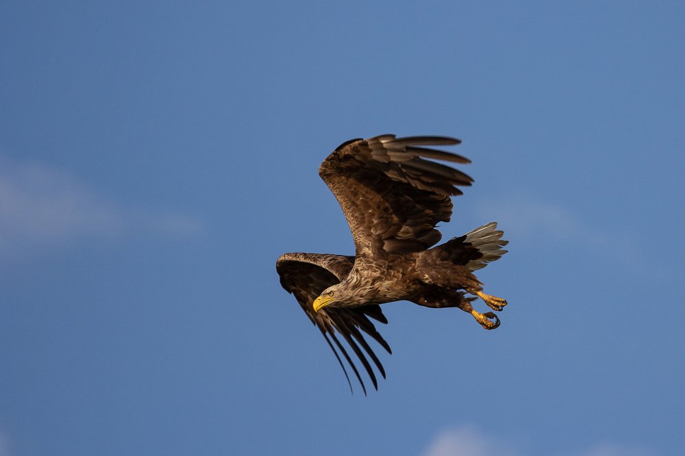 Photograph by Кобец Дмитрий