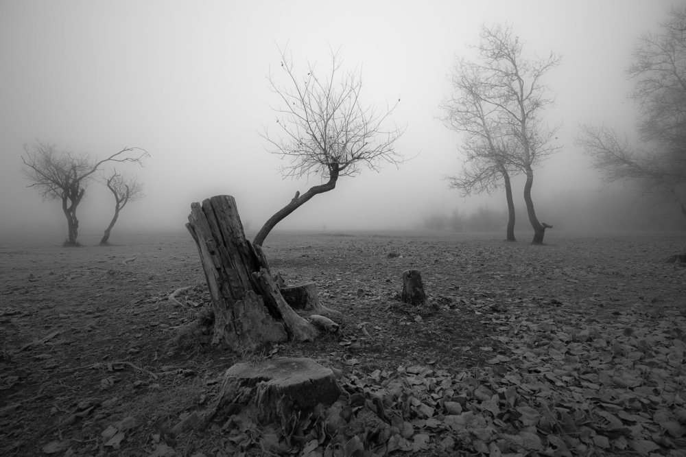 Photograph by Кобец Дмитрий