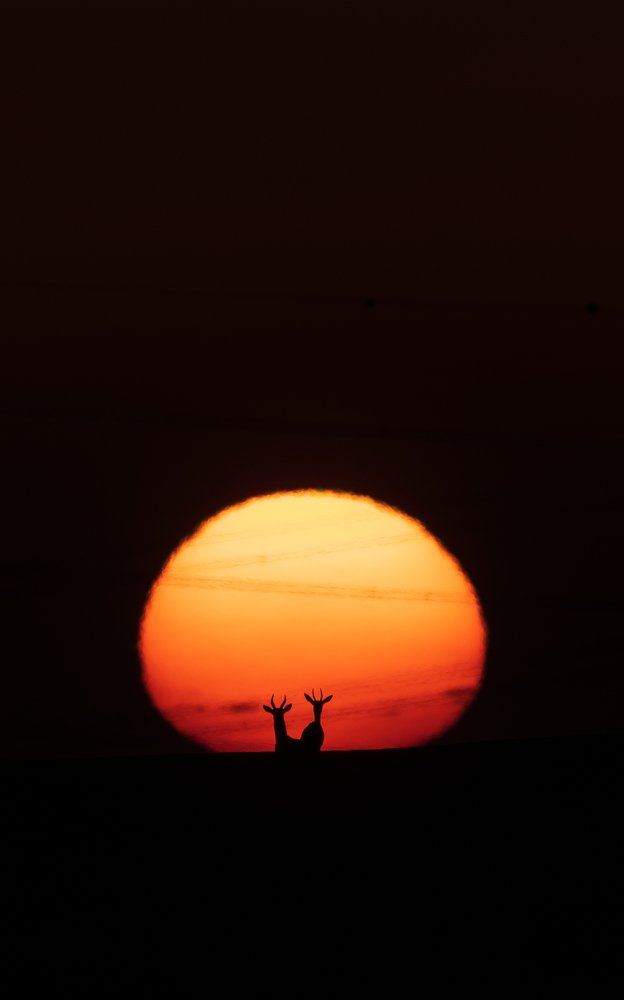 Photograph by Vignesh Ramachandran