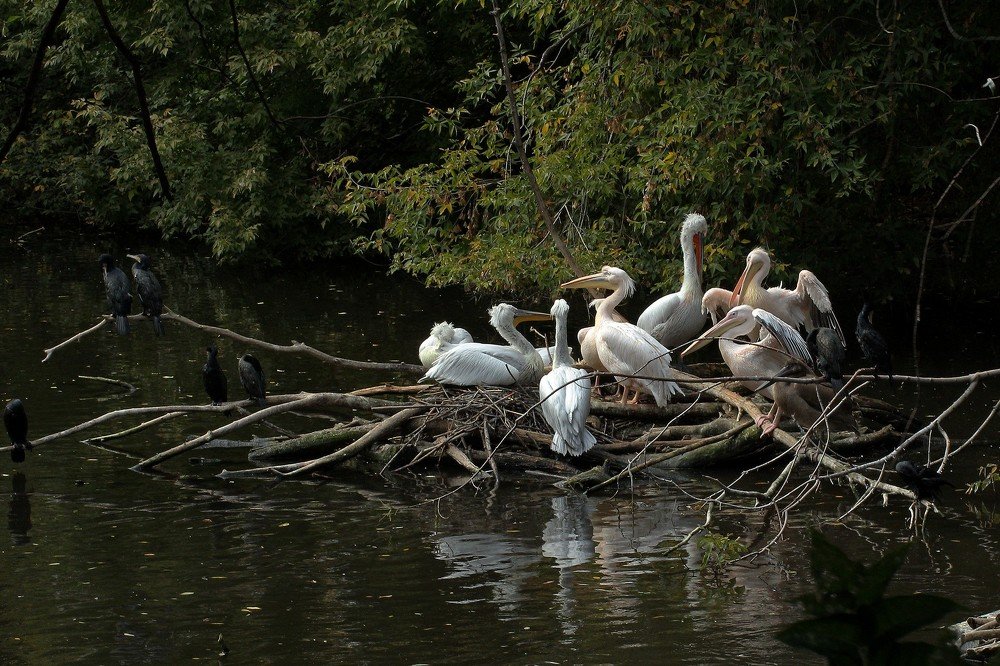 Фотография автора Геннадий Титов