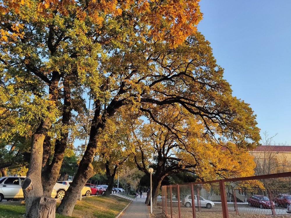 Photograph by Vladislav Selvvin