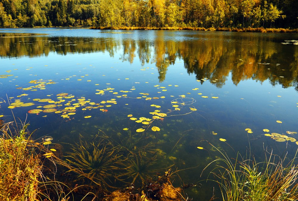 Заглядывая в глубину.