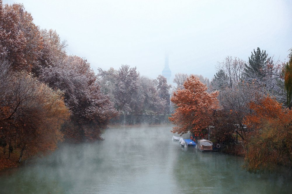 Первый снег