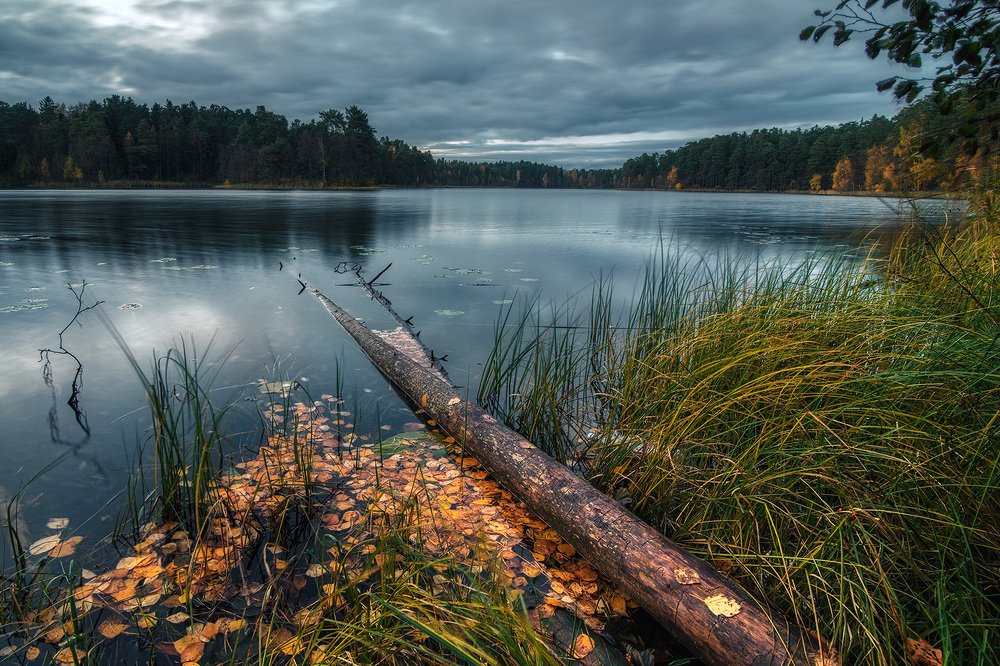 Фотография автора Федотов Антон