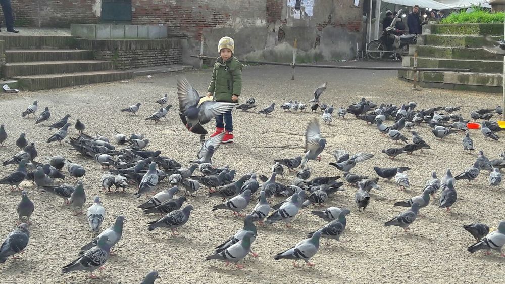 Photograph by masumeh eslami