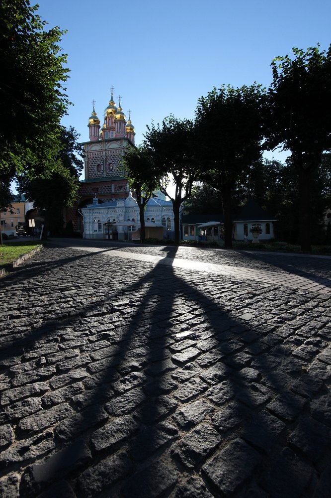 Photograph by ALBERT