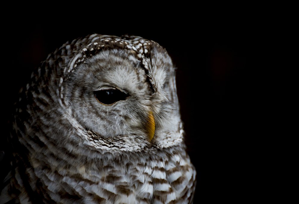 Photograph by Ela Opatowiecka