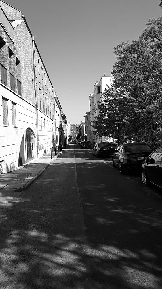 Photograph by Михаил Рассказ