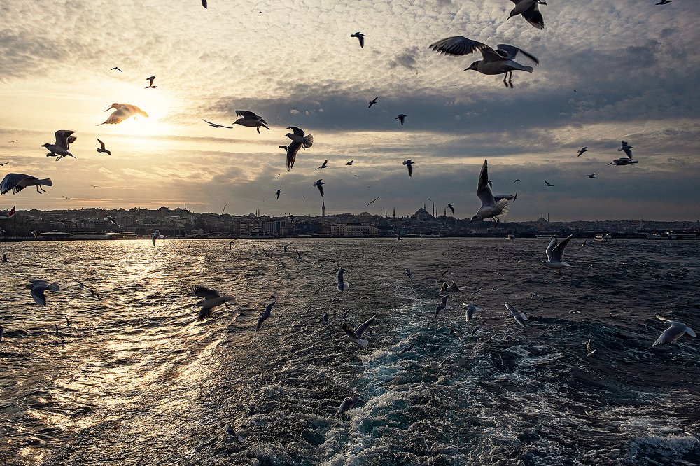 Фотография автора Владимир Эделев