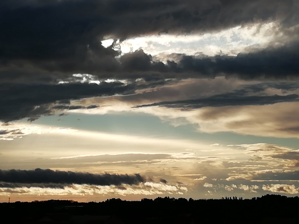 Фотография автора Biljana Janković Veličković