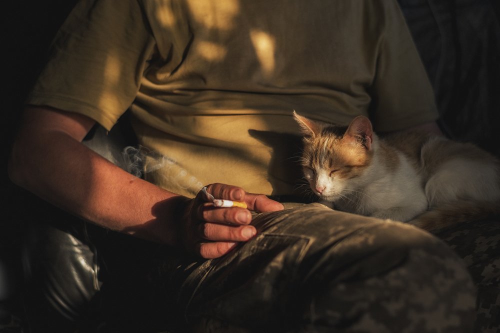 Photograph by Андрей Захарчук