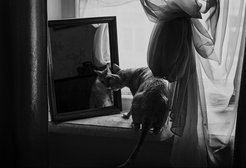 Photograph by Константин Смирнов (Key Gross)