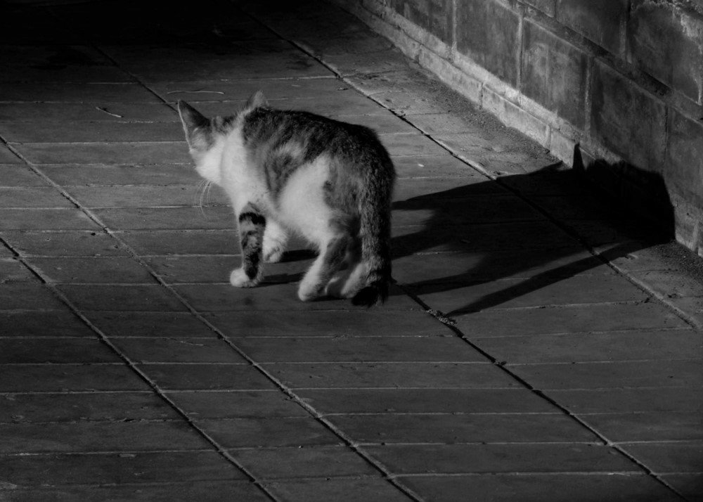 Photograph by Ирина Самойленко