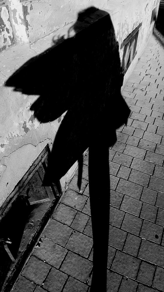 Photograph by Alexandra Sasha