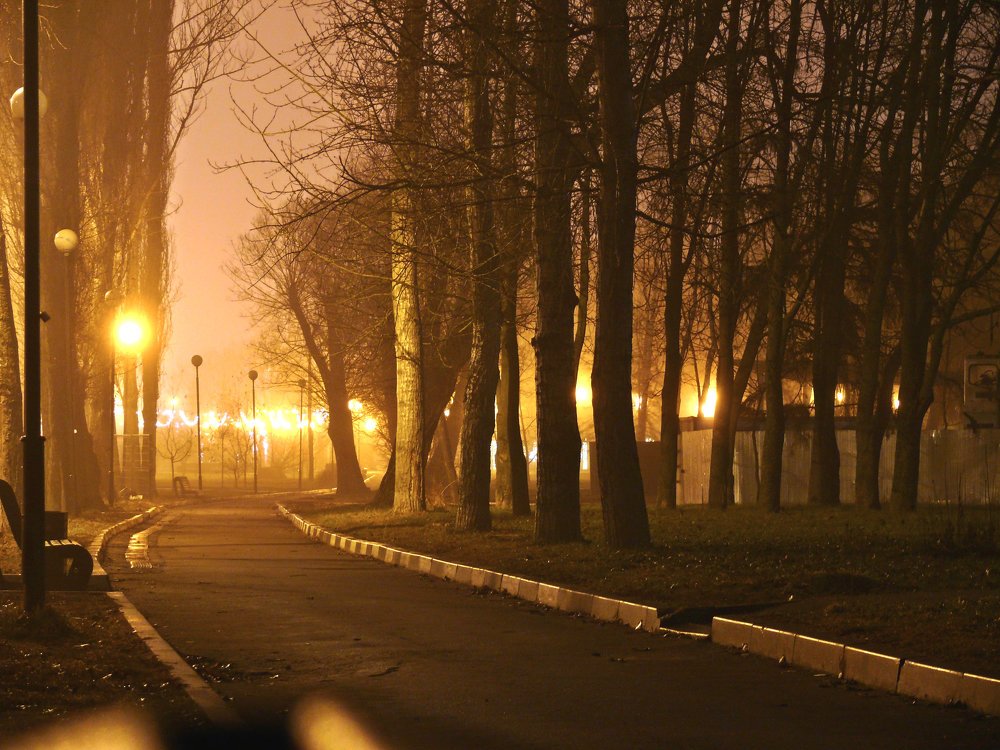 Photograph by Юрий Филицкий