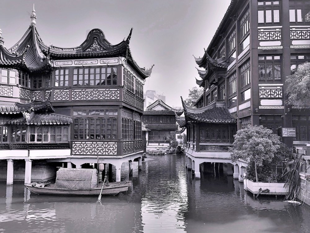 Photograph by Kriti Aggarwal