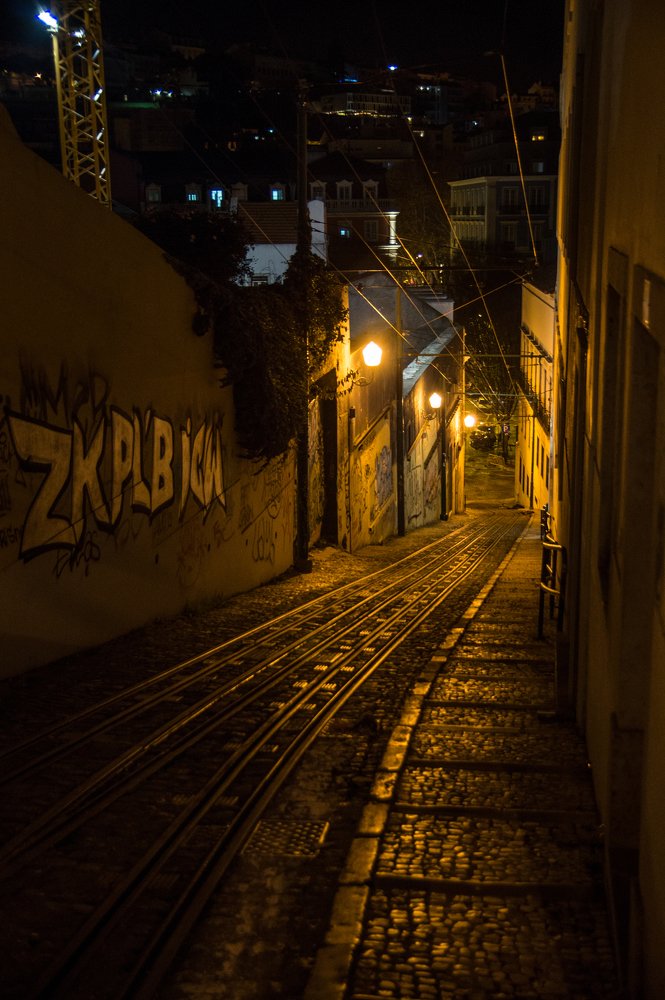 Photograph by Никита Колеганов