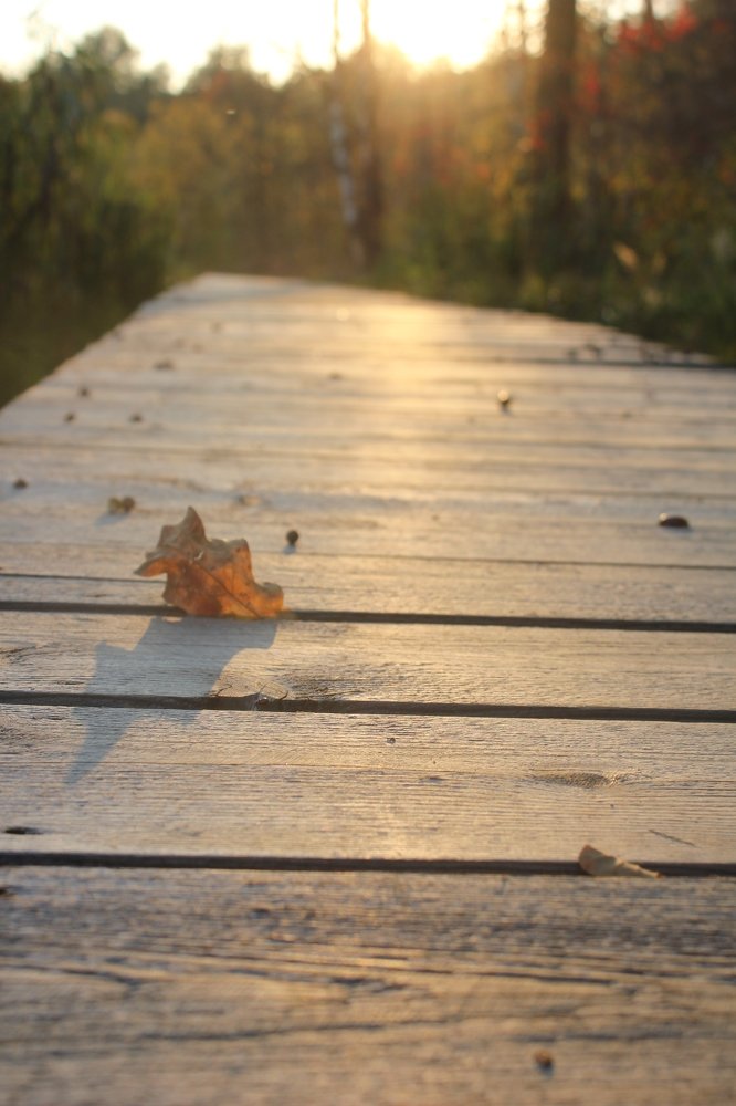 Фотография автора Владислава Андрюнина