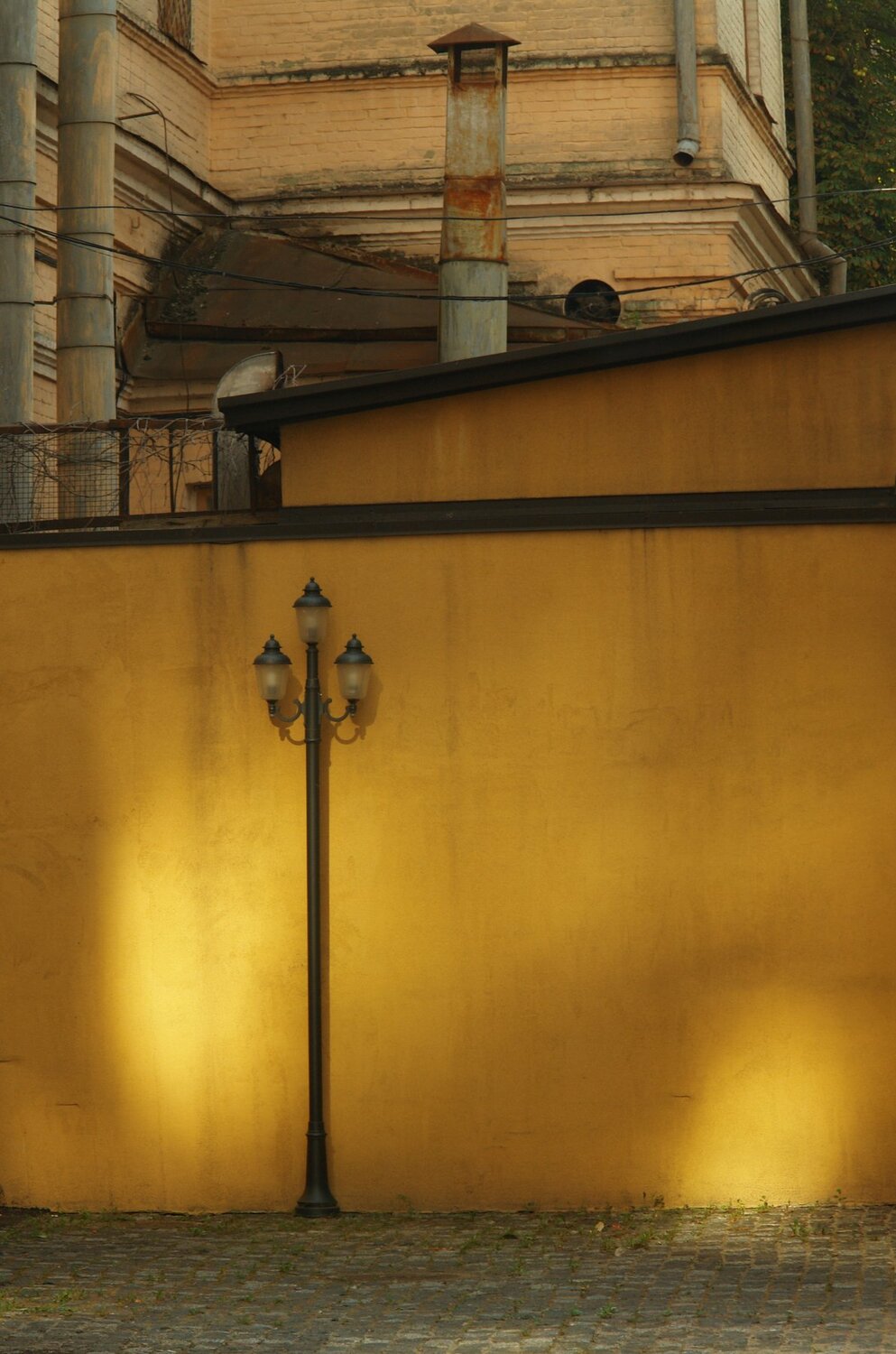 Photo #4064964