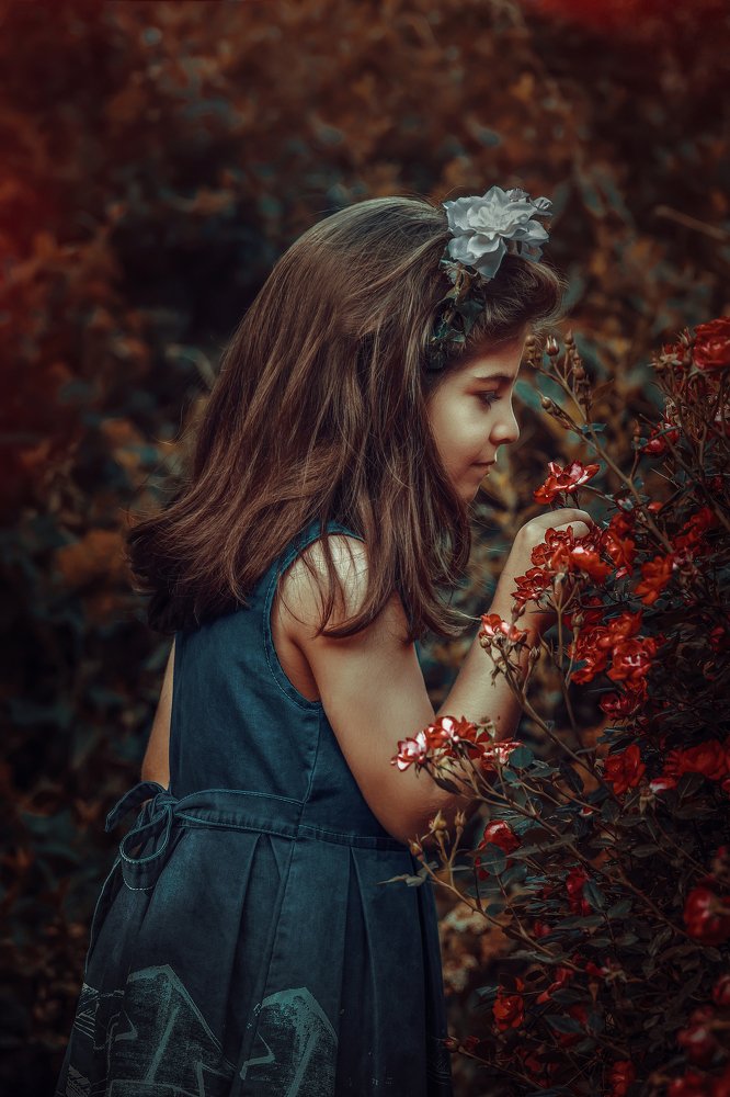 Фотография автора mahdi Yousefi