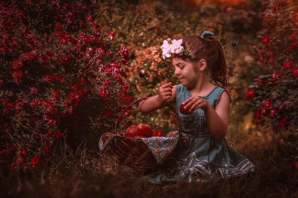 Фотография автора mahdi Yousefi