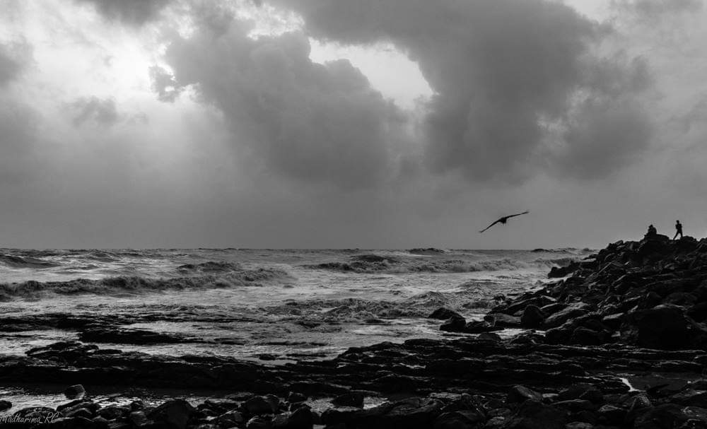 Photograph by Madhurima Roy Choudhury