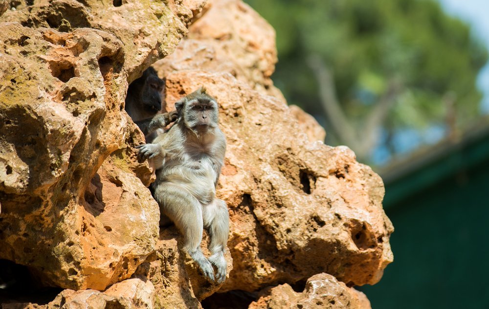 Photograph by Анастасия Ломаева