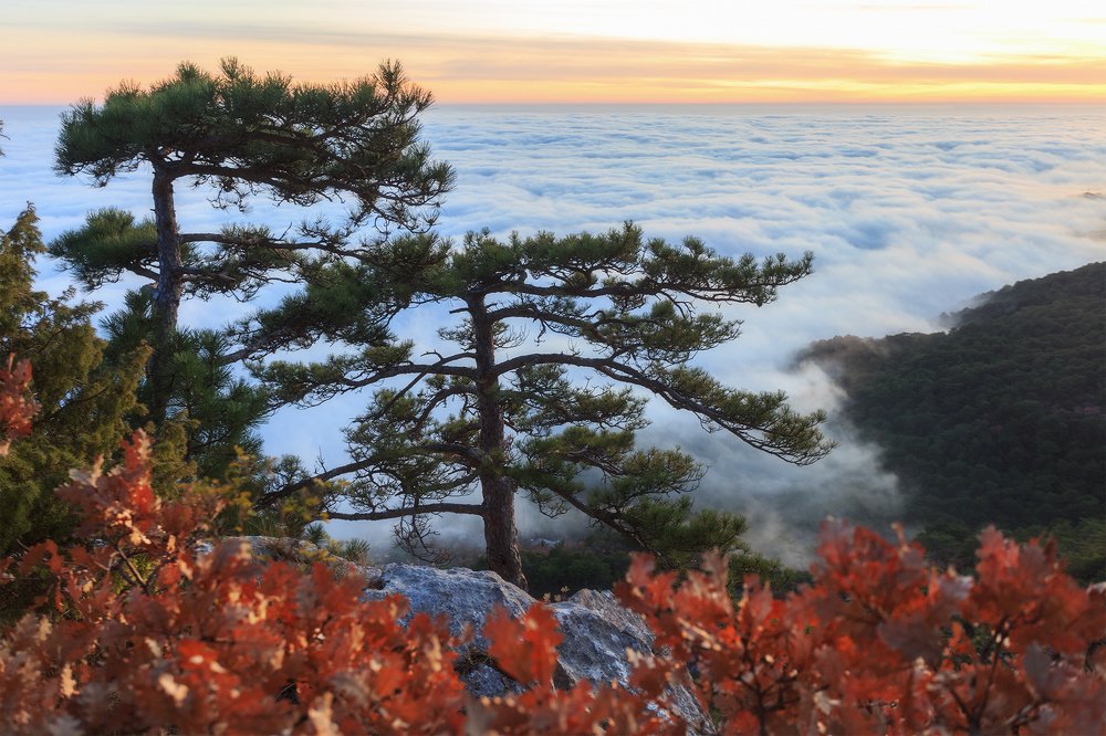 На пламенных берегах