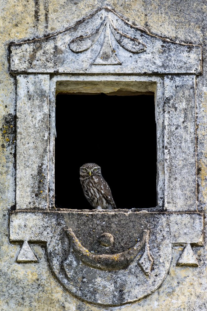 Photograph by Predrag Kostin