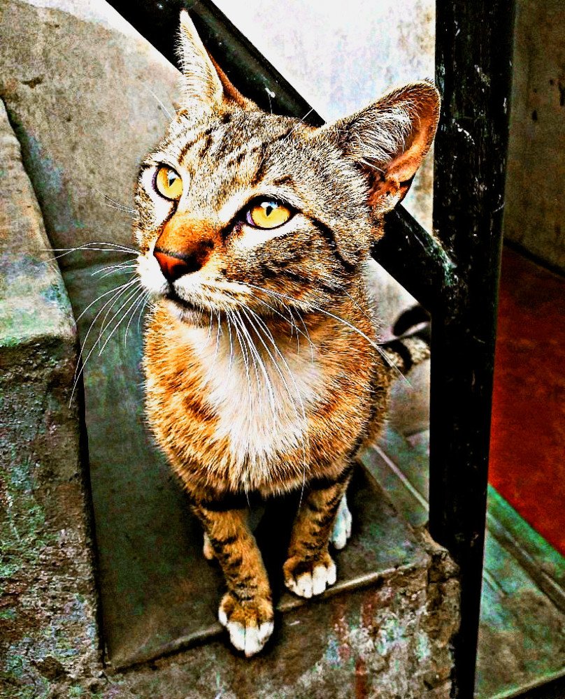 Photograph by Yenifer