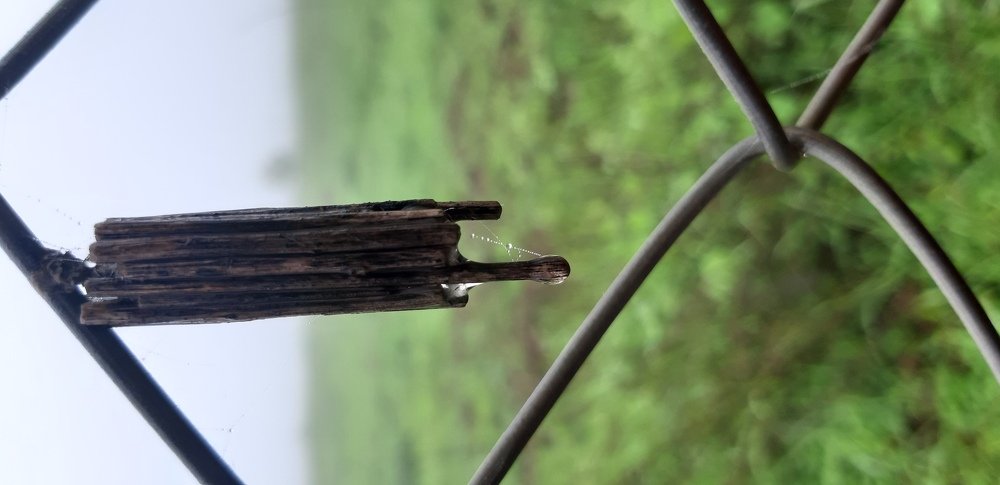 Photograph by anuja tapase