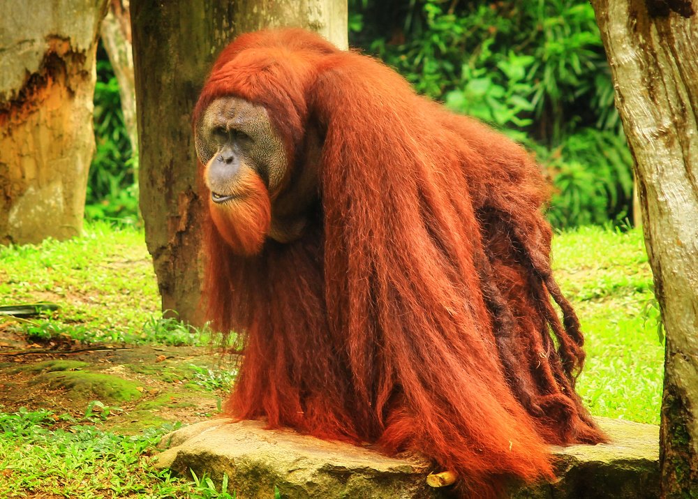 Photograph by Татьяна Бирюкова