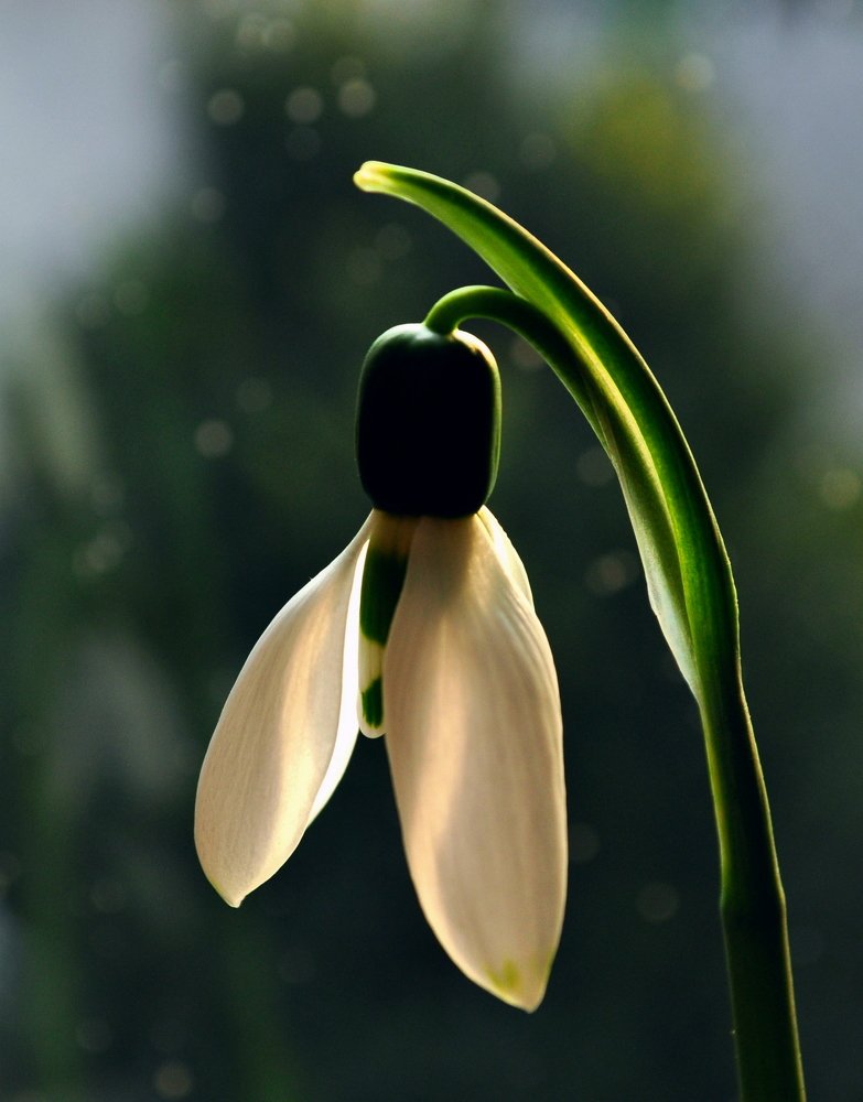 Photograph by Александр Рыбак