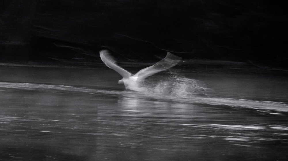 Photograph by Александр Рыбак