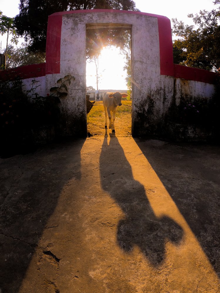 Photograph by Piyush Kumar