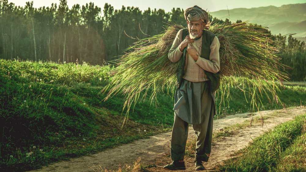 Photograph by Neman Noori