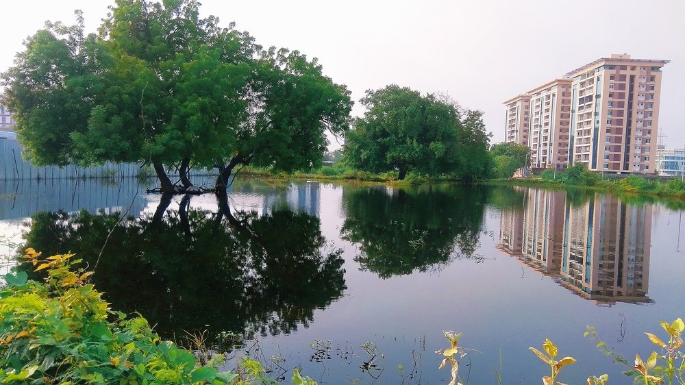 Фотография автора Pranay Shah