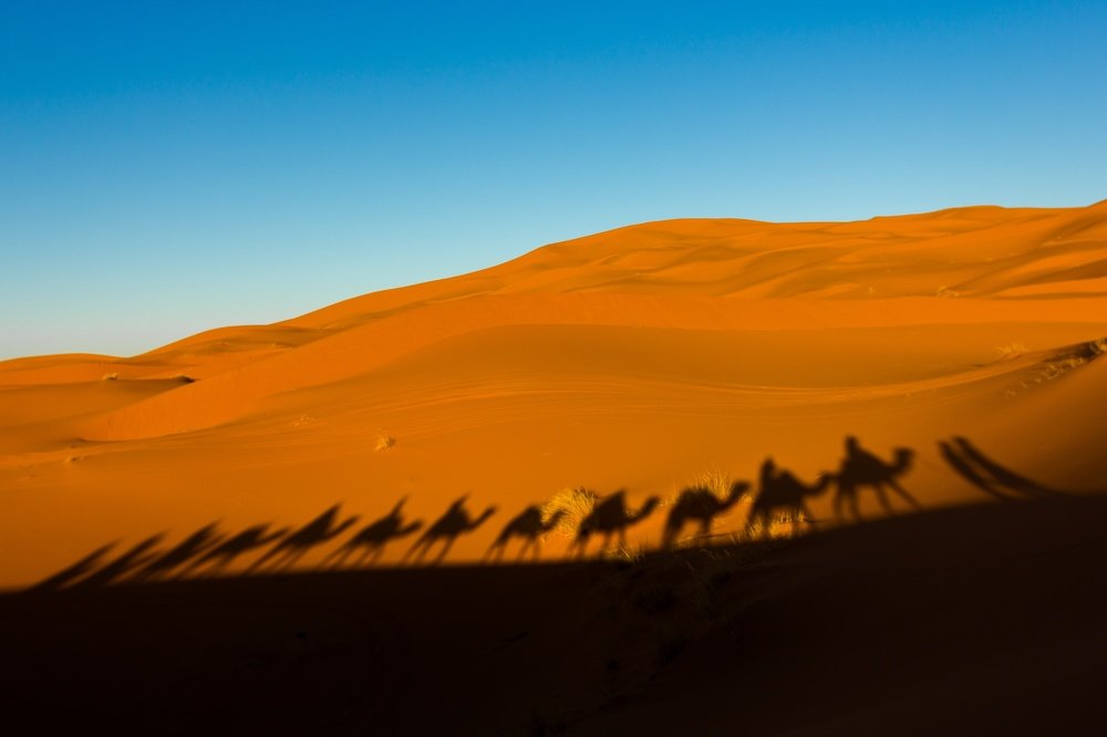 Photograph by Oleg Patrin