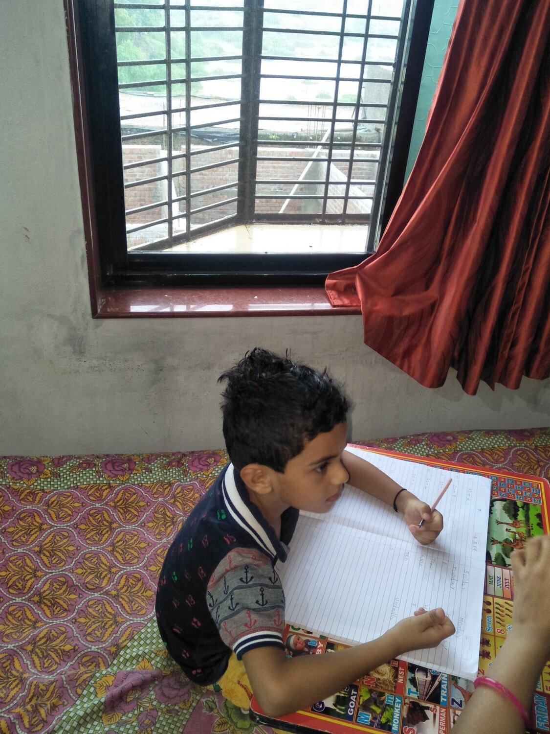 Photo #4065840