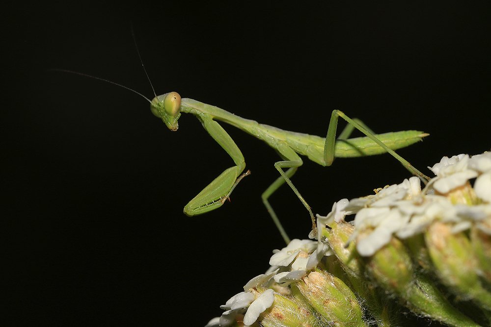 Photograph by Ramin Najafi