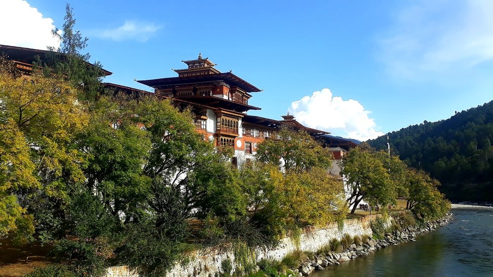 Photo #4065858