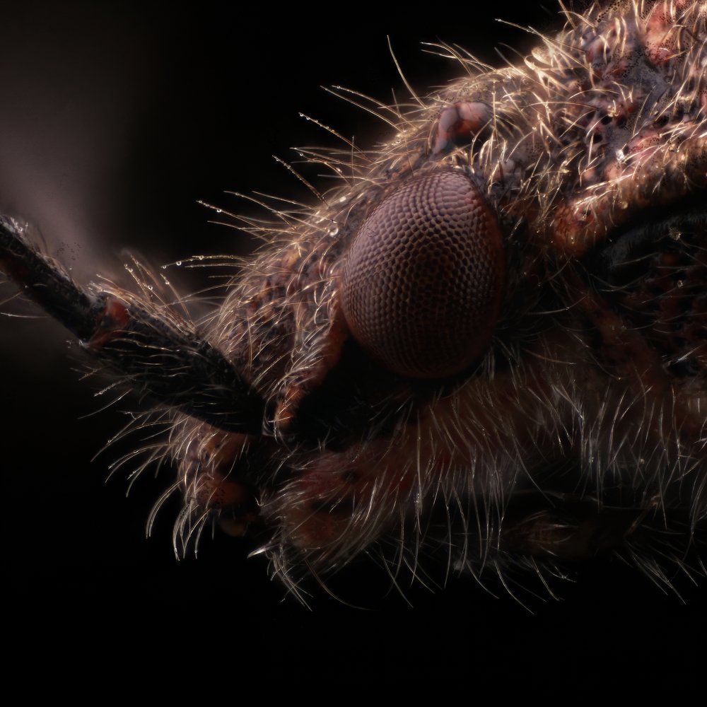 Photograph by Антон Орленко