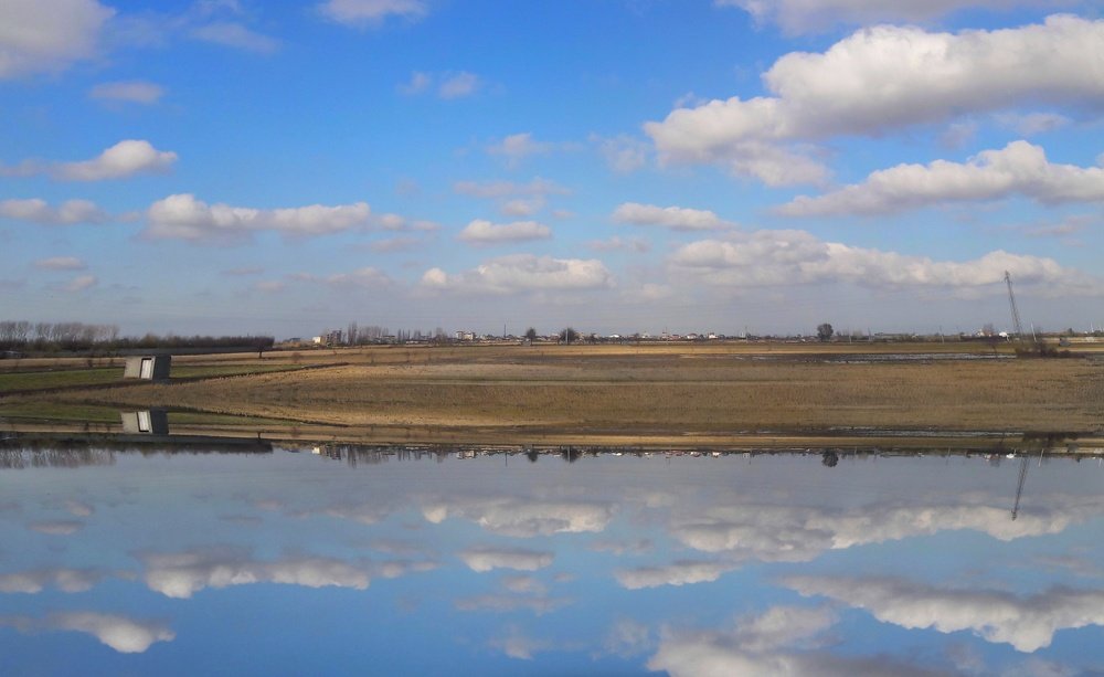 Photo #4065990