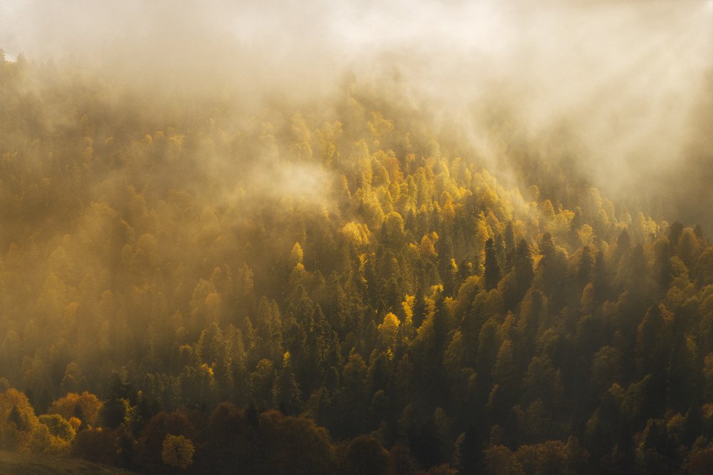 Фотография автора Илья