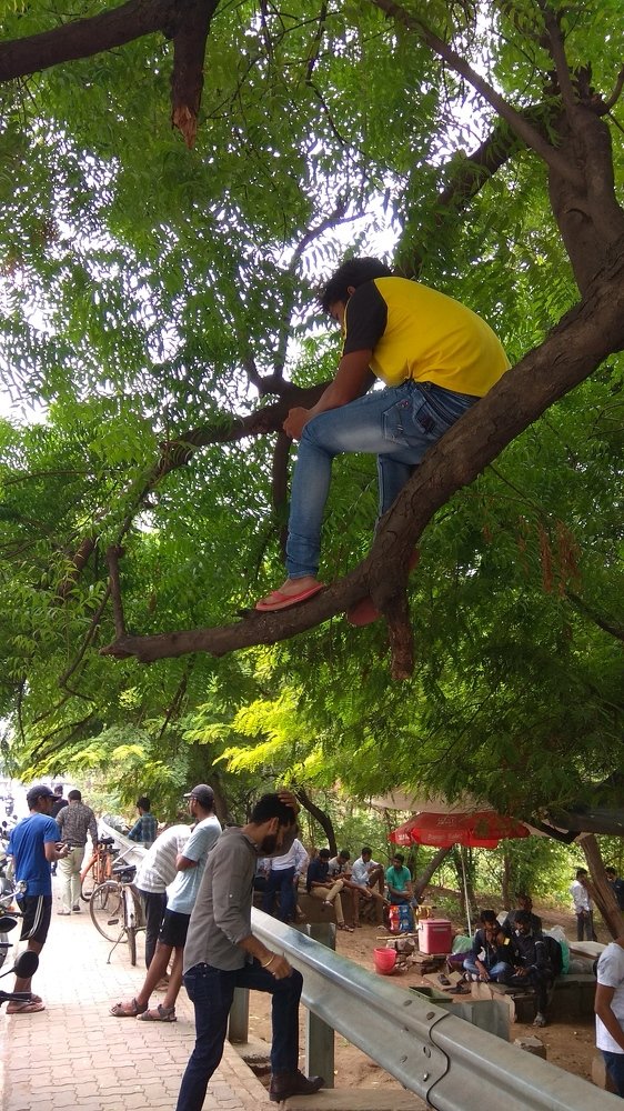 Фотография автора Pranay Shah